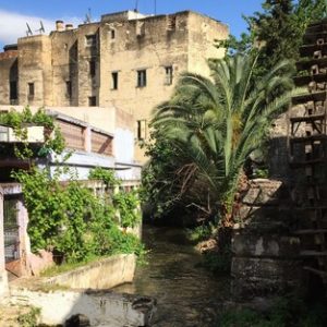 ناعورة فاس على وادي الجواهر .. معلمة إنسانية وتحفة من النوادر