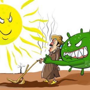 كورونا والجفاف