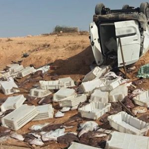 انقلاب سيّارة لنقل الأسماك يخلف قتيلا قرب النّاظور