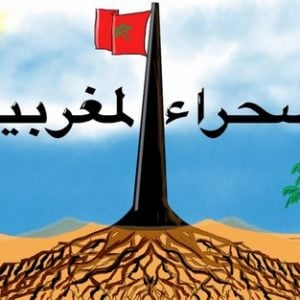 أمازيغيون يثمّنون اعتراف أمريكا بمغربية الصحراء