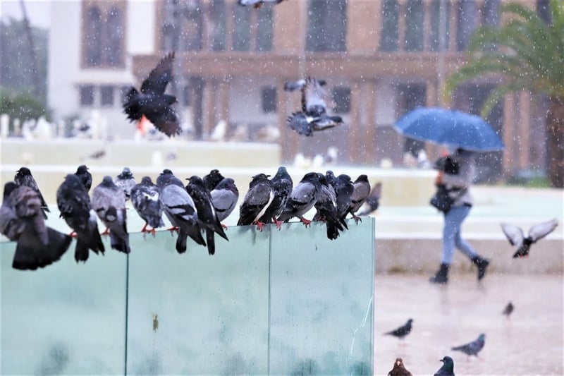 تساقطات مطرية وثلجية ورياح قوية في المملكة