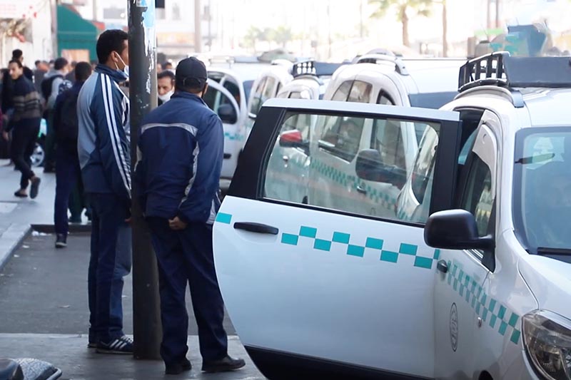 التغطية الاجتماعية لمهنيي النقل