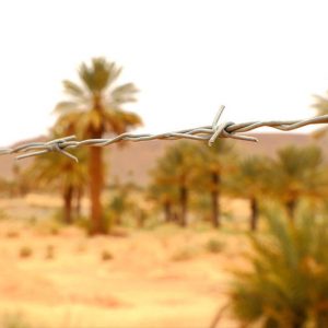 معطيات تاريخية وحقائق قانونية توثق سيادة المغرب على الصحراء الشرقية