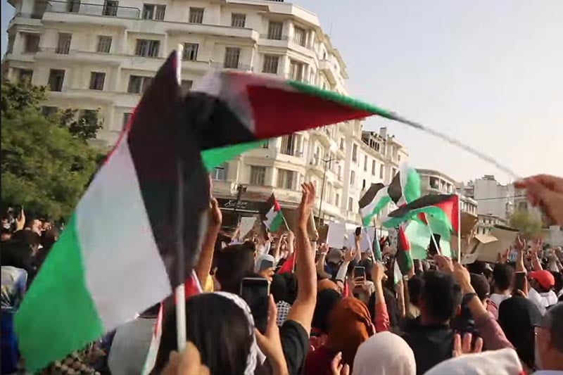 تظاهرات دعم فلسطين