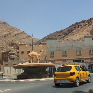 "الغزالة زاكورة" .. الركود يخنق التنمية والبطالة تغتال أحلام الشباب