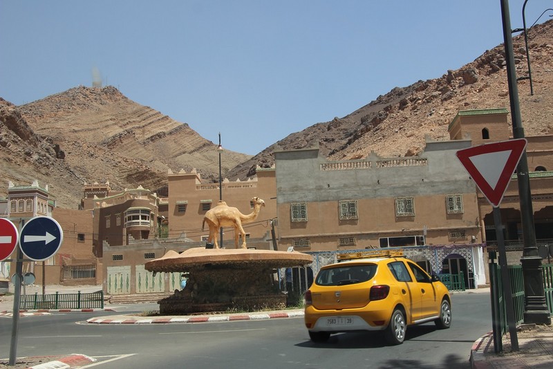 "الغزالة زاكورة" .. الركود يخنق التنمية والبطالة تغتال أحلام الشباب