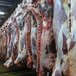 مهنيون مغاربة يعزون قلة استيراد اللحوم إلى "ضعف الإقبال" والمنافسة الدولية‬