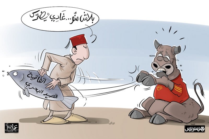 التحذيرات الصحية الأوروبية من منتجات مغربية ..  ابتزاز أم معطيات مغلوطة؟