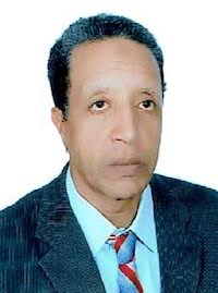 النموذج التنموي الجديد وسؤال الديمقراطية التشاركية