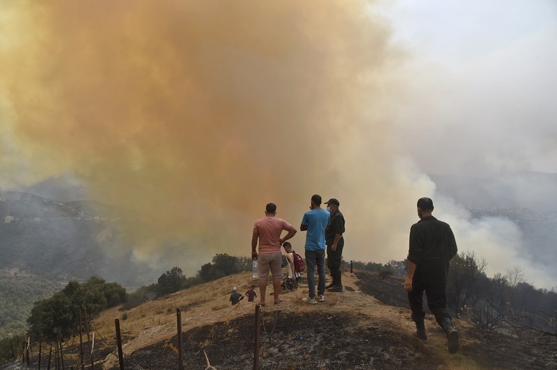خلفيات اتهام المغرب في حرائق الجزائر
