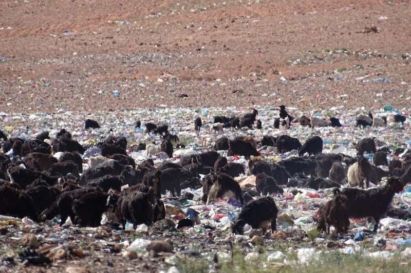 ساكنة تنغير تنادي بتوفير "مطرح عصري للنفايات"