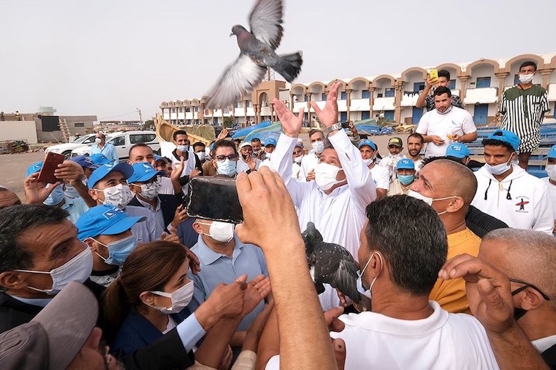 التجمعيون يتصدرون النتائج الانتخابية بإقليم خنيفرة