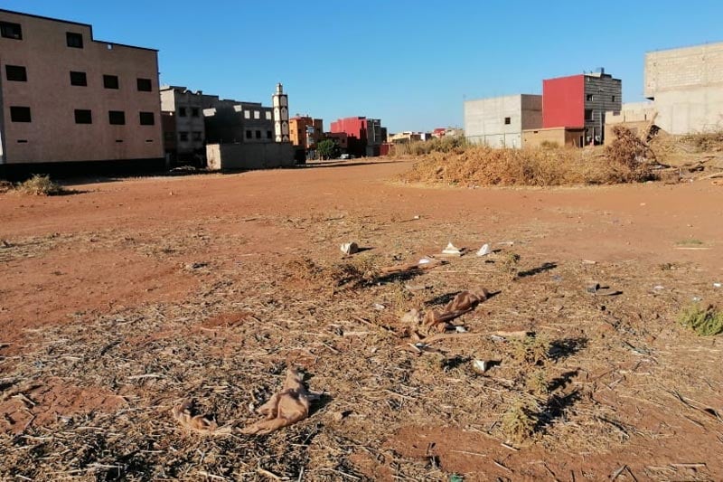 مشاهد يومية في إقليم الفقيه بن صالح .. واقع هش ووعود موؤودة