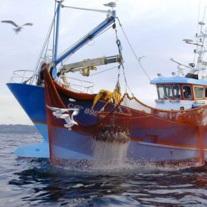 ضمانات قانونية تحمي اتفاقية الصيد البحري الموقعة بين المغرب وأوروبا‬