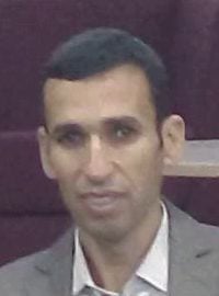 الثقافة وسؤال التقدم