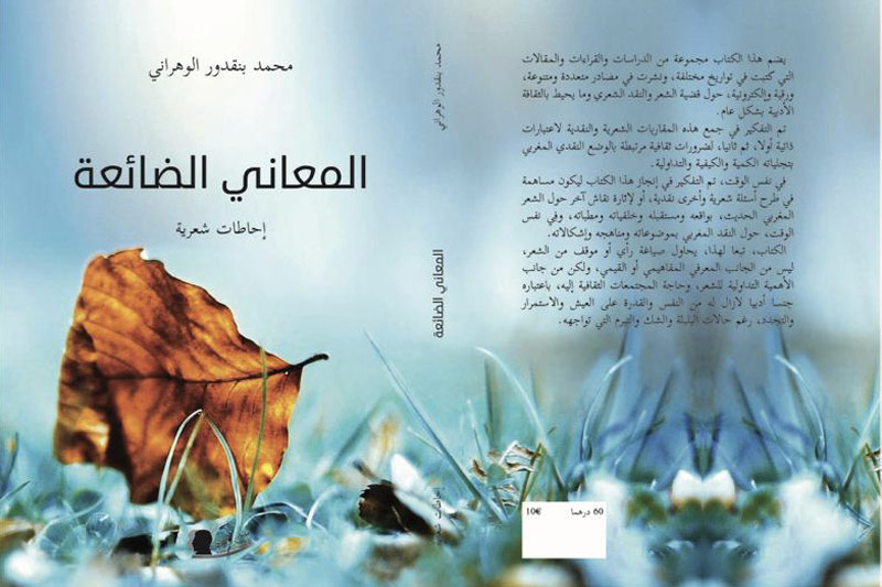 محمد بنقدور الوهراني يصدر "المعاني الضائعة"