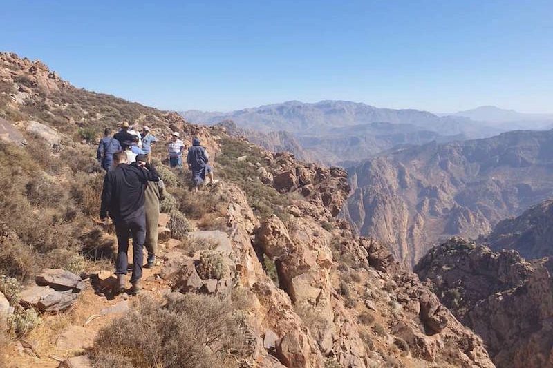 شجرة "أجكال" تجذب خبراء دوليين إلى تزنيت
