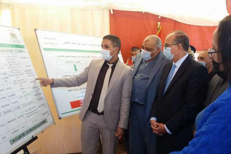 إطلاق عملية تشجير واسعة في غابات إقليم ميدلت
