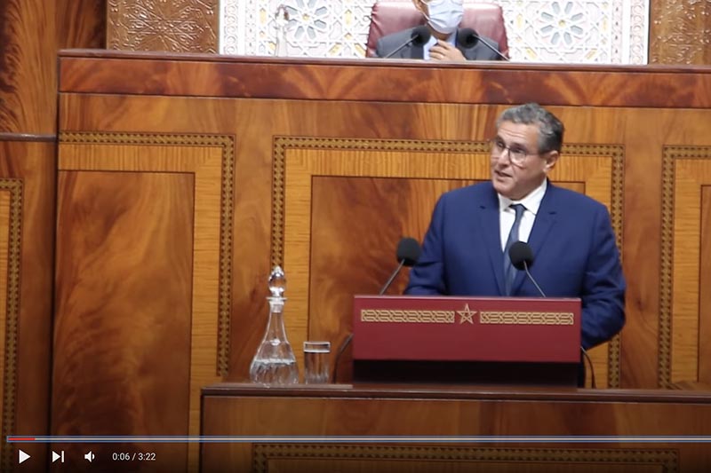 أخنوش والدولة الاجتماعية