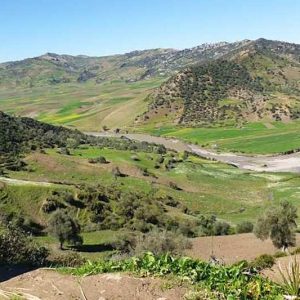سد الرتبة.. مشروع عملاق يغيّر وجه الأرض والحياة ضواحي غفساي