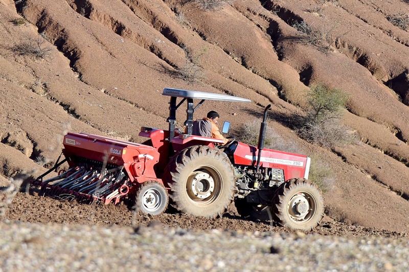 ندرة التساقطات بالمغرب تربك الفلاحين وسط مطالب بالدعم لتجاوز التداعيات‎‎