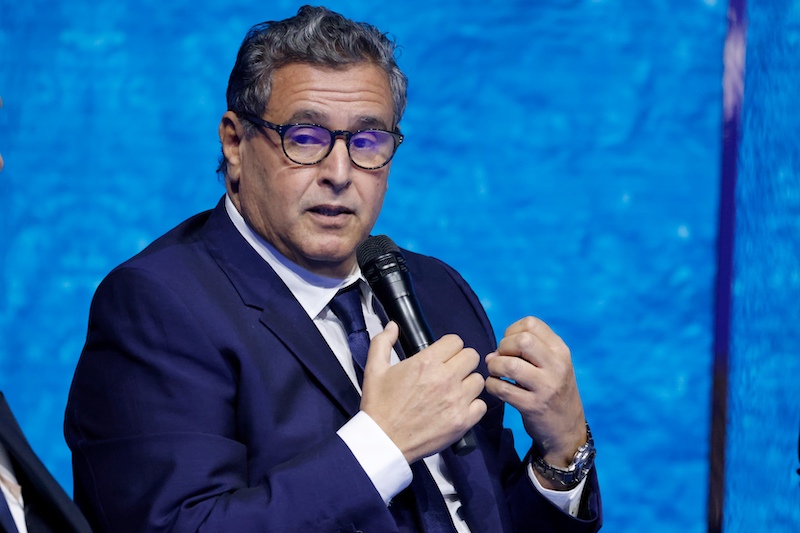 أخنوش يروج للثروة السمكية للمغرب