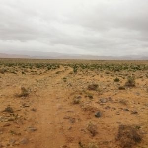 عمالة اشتوكة تسرع تأهيل الأراضي السلالية