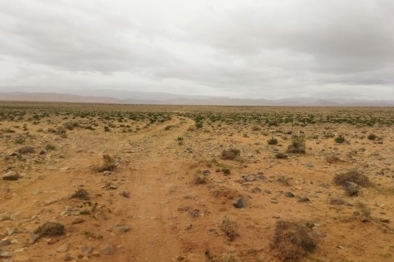 الداخلية تحصن الأراضي السلالية ضد السطو