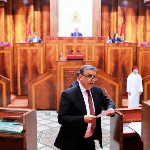وهبي: تقارير منظمات حقوقية دولية تستهدف المغرب لتصفية حسابات سياسية