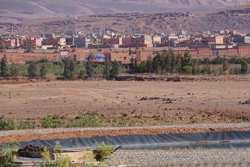 نشطاء يؤيدون الري بـ"المياه المعالجة"