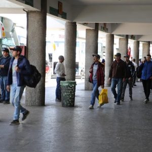 مهنيو "ولاد زيان" يأملون الانتعاشة