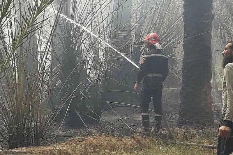 حريق يلتهم النخيل في واحة المعاضيد