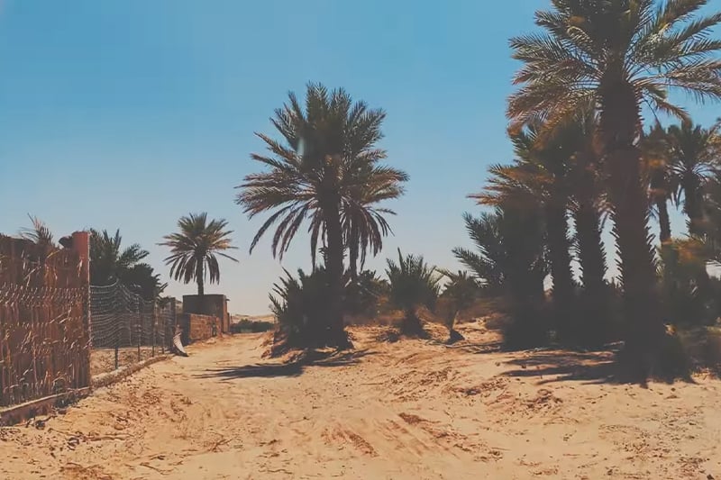سنة على "أزمة العرجة"