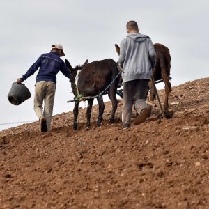 تقرير أممي ينبه إلى انتشار سوء التغذية لدى أكثر من مليونيْ مغربي
