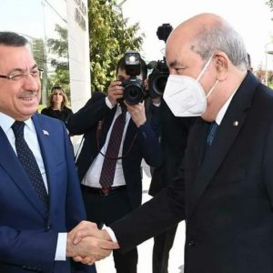 استقبال باهت واهتمام فاتر.. لقاء أردوغان وتبون يخلو من ملف الصحراء