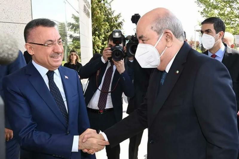 استقبال باهت واهتمام فاتر.. لقاء أردوغان وتبون يخلو من ملف الصحراء