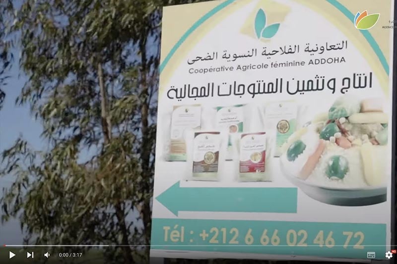 التعاونية الفلاحية النسوية الضحى