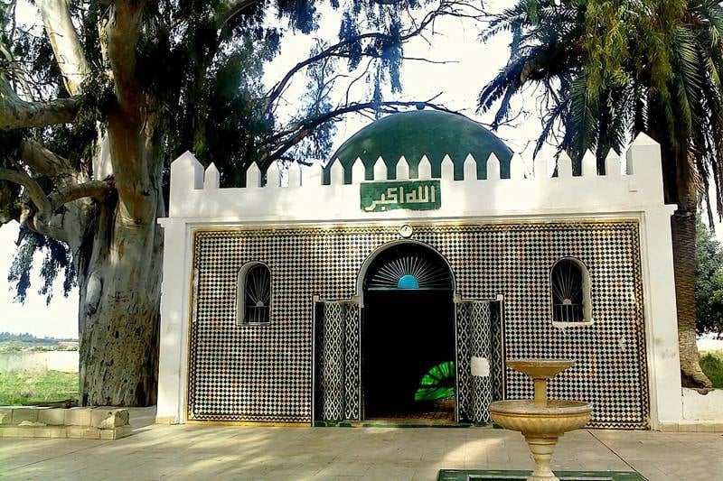رواية جديدة تفكك لغز ولي مدينة بركان