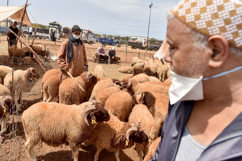 رصيف الصحافة: إلغاء شعيرة عيد الأضحى يستدعي اهتمام المتخصصين