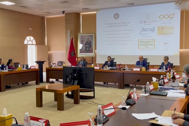 الأدوار الجديدة لوكالة أنابيك