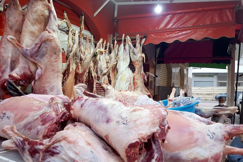 هيئة مهنية تذكر المغاربة بالشروط الصحية السليمة للتعاطي مع الأضاحي