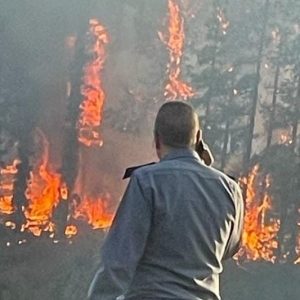 نشوب حرائق الغابات يتحدى "ترسانة التدابير الاستباقية" في إقليم تاونات