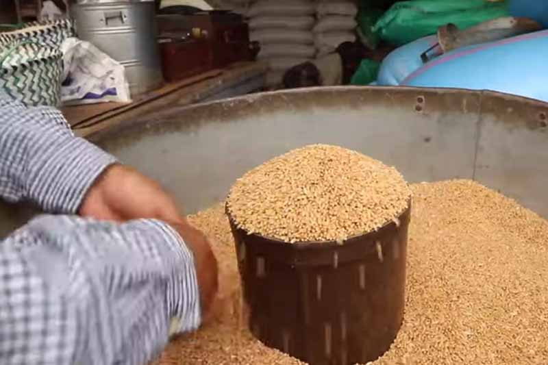 أسعار الحبوب في البيضاء
