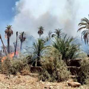 اندلاع حريق يثير الاستنفار بواحة آسا الزاك