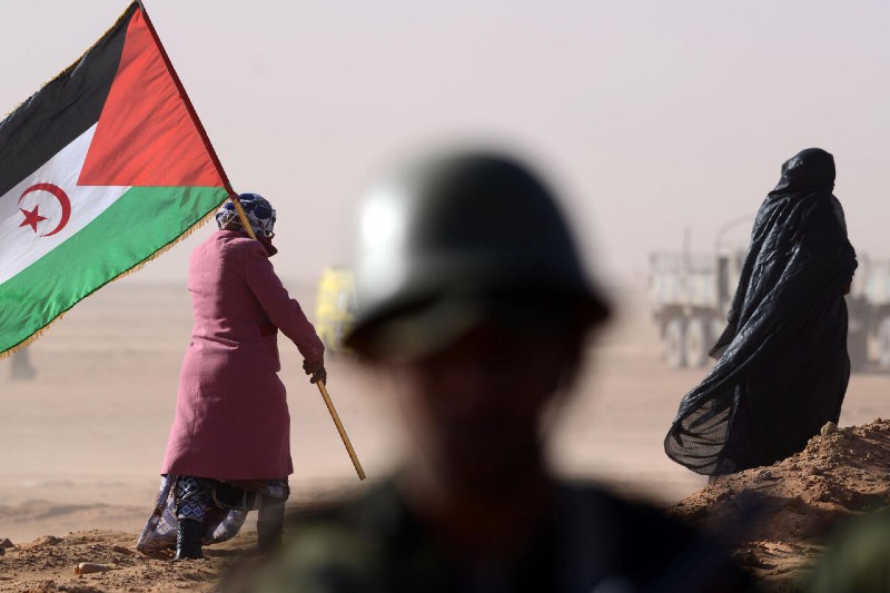 الاستثمارات الفرنسية في الصحراء المغربية تحبط أوهام الجزائر والبوليساريو