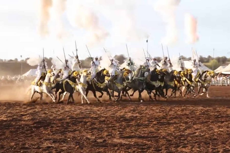 التبوريدة في عاصمة الثقافة