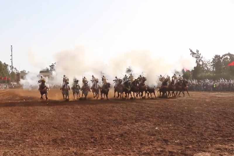 عروض فن التبوريدة