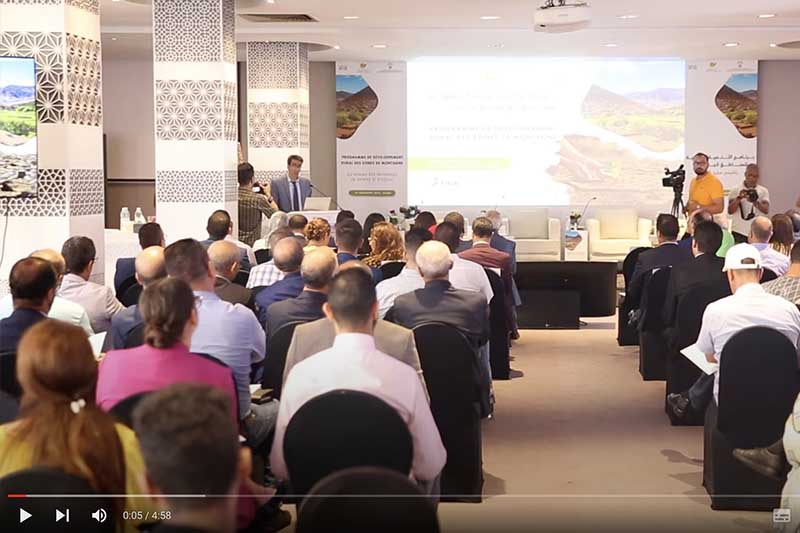 برنامج التنمية القروية