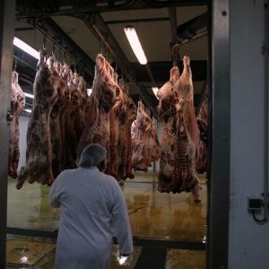 البيضاء تحدد مواعيد استثنائية للمجازر الكبرى بالتزامن مع عيد الأضحى