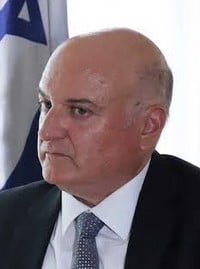 ديفيد غوفرين